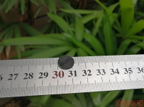 D-Think_NFC A-02微型NFC電子標簽