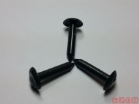 RFID電子標簽釘子