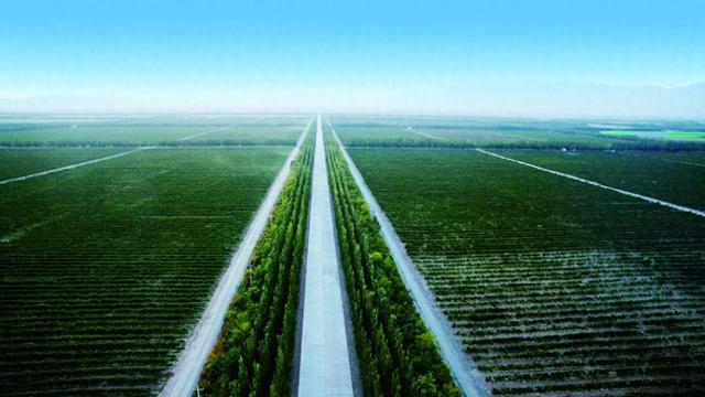 利好消息！免費(fèi)涉外商事認(rèn)證助力寧夏酒莊“出?！? width=