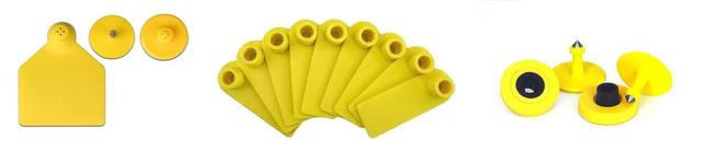 RFID電子耳標的優(yōu)勢及應(yīng)用