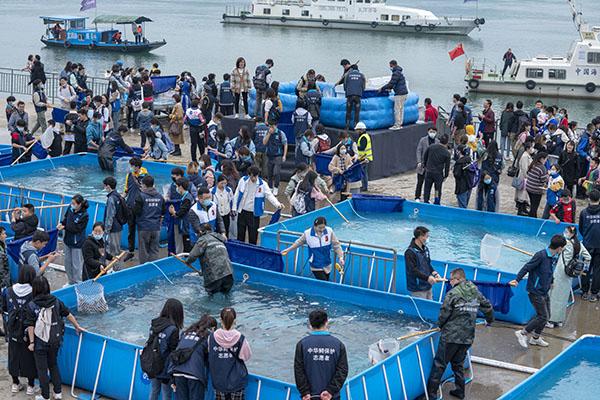 共抓長江大保護 1萬尾大規(guī)格“子二代”中華鱘放歸長江