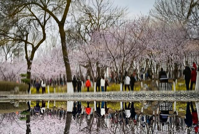 “文旅+AI”充滿想象，但有些AI給不了