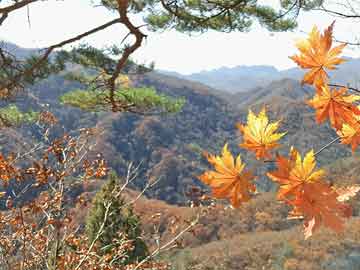 蘭成國(guó)邊潤(rùn)文最新消息