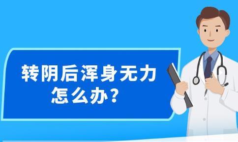 新澳精準(zhǔn)資料免費(fèi)提供|精選解釋解析落實(shí)