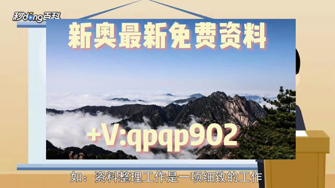 2024年新奧正版資料免費(fèi)查詢|精選解釋解析落實(shí)