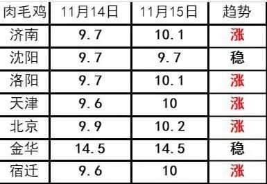 肉毛雞價(jià)格最新行情走勢(shì)